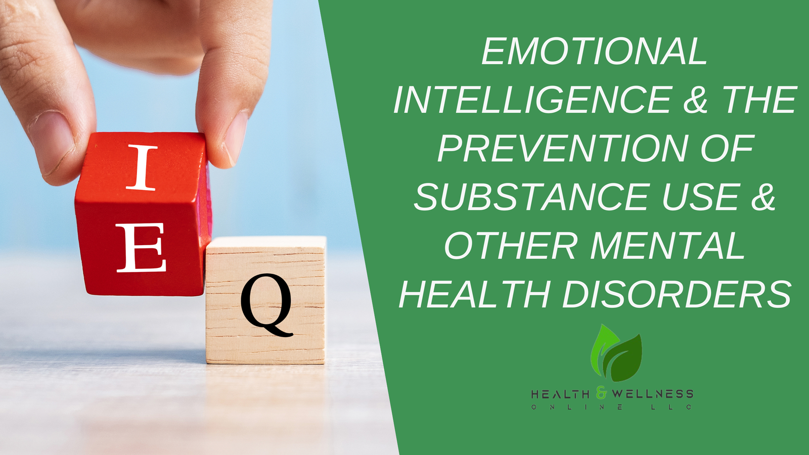 Emotional Intelligence and Substance Use Prevention is a 7 CE Credit Hours course by Dr. Donna Poppendieck from Health and Wellness Online.